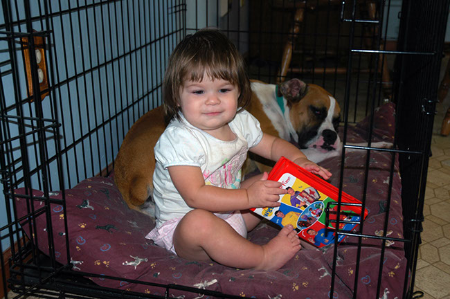 Test Pictures 011