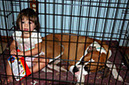 Test Pictures 007